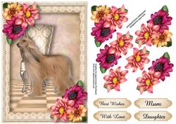 Afghan Hound & Beautiful Dahlias