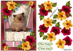 Cute Kitten & Pretty Petunias