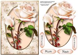 Gorgeous Pale Pink Roseberry Roses