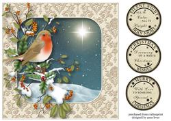The Robin's Christmas Star