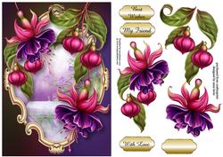 Fabulous Fuschias