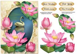 Pretty Pink Lotus Flowers & Swan
