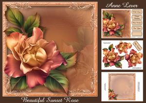 Beautiful Sunset Rose