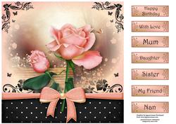 The Gift of the Peach Rose