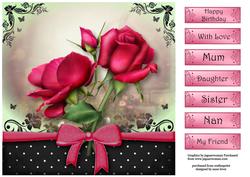 The Gift of Celebration Roses