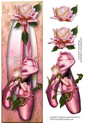 Beautiful Ballet Shoes & Roses