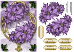 Purple Poinsettias on Golden Frame