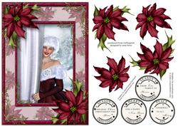 Christmas Beauty with Plum Poinsettias
