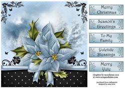 The Christmas Gift of Blue Poinsettias