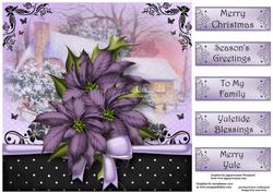 The Christmas Gift of Purple Poinsettias
