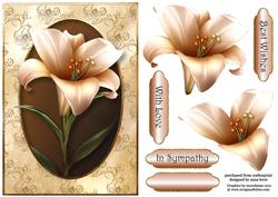 Lovely Ivory Lily