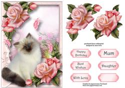Pussy Cat & Pink Roses