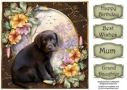 Gorgeous Chocolate Labrador Puppy 8x8