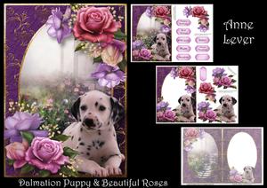 Dalmation Puppy & Beautiful Roses