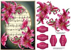 Hot Pink Lilies & Butterflies