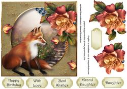 The Curious Fox 7x7