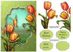 A Touch of Spring