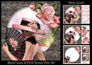 Black Lace & Pink Roses Mini Kit