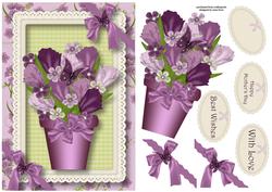 Purple Tulips & Butterflies