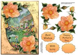 Pretty Peach Roses at the Flower Cottage