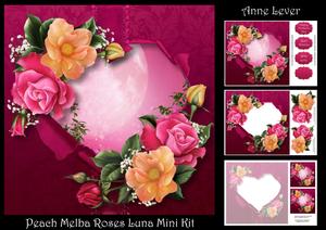 Peach Melba Roses Luna Mini Kit