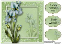 Pretty Pale Blue Iris 8x8 Quick Topper