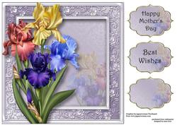 Pretty Mixed Iris 8x8 Quick Toppers