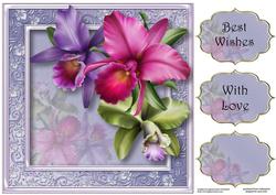 Gorgeous Tropical Orchids 8x8 Quick Topper