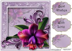Gorgeous Romantic Orchid 8x8 Quick Topper