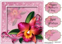 Beautiful Pink Romantic Orchid 8x8 Quick Topper