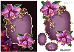 Beautiful Lilac Orchids