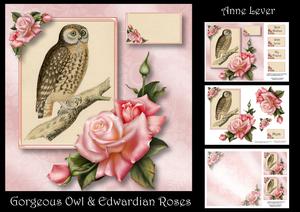 Gorgeous Owl & Edwardian Roses Mini Kit