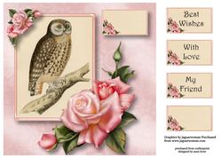 Gorgeous Owl & Edwardian Roses 8x8 Quick Topper