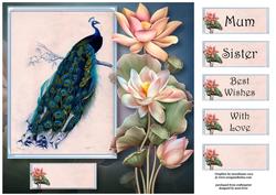 Peacock & Lotus Blooms 8x8