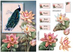 Peacock & Lotus Blooms A5