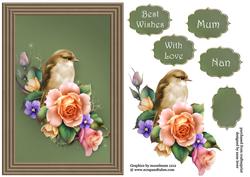 Beautiful Framed Spring Roses & Bird