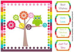 The Rainbow Tree