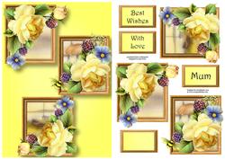 Yellow English Roses Frame Trio
