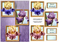 Iris Dreams Frame Trio