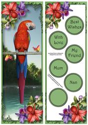 Tropical Parrot Large Dl
