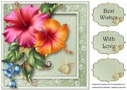 Beautiful Hibiscus in Pink & Peach 8x8 Quick Topper
