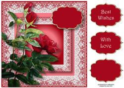 Pretty Lace & Red Roses 8x8