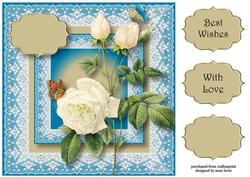 Pretty Lace & White Roses 8x8