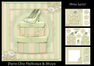 Paris Chic Hatboxes & Shoes