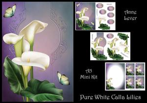 Pure White Calla Lilies