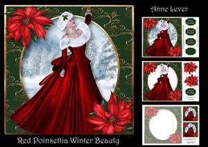 Red Poinsettia Winter Beauty