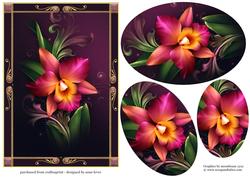 Beautiful Framed Romantic Orchid with Pyramage