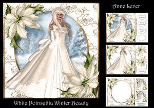 White Poinsettia Winter Beauty