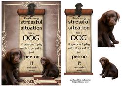 Handle Every Stressful Situation Like a Dog - chocolate Lab