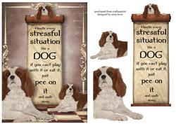 Handle Every Stressful Situation Like a Dog - spaniel